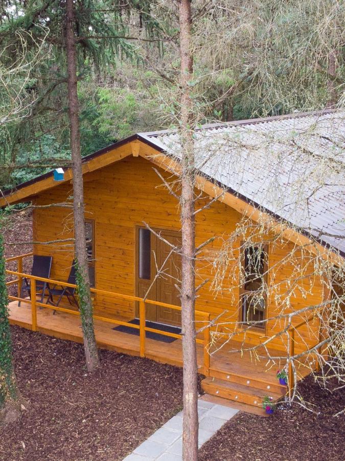 Butterfly Cabin Limerick Exterior photo