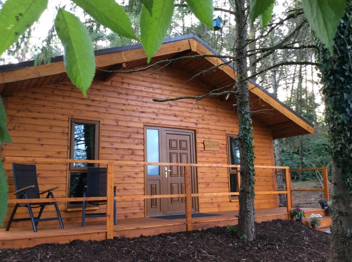 Butterfly Cabin Limerick Exterior photo