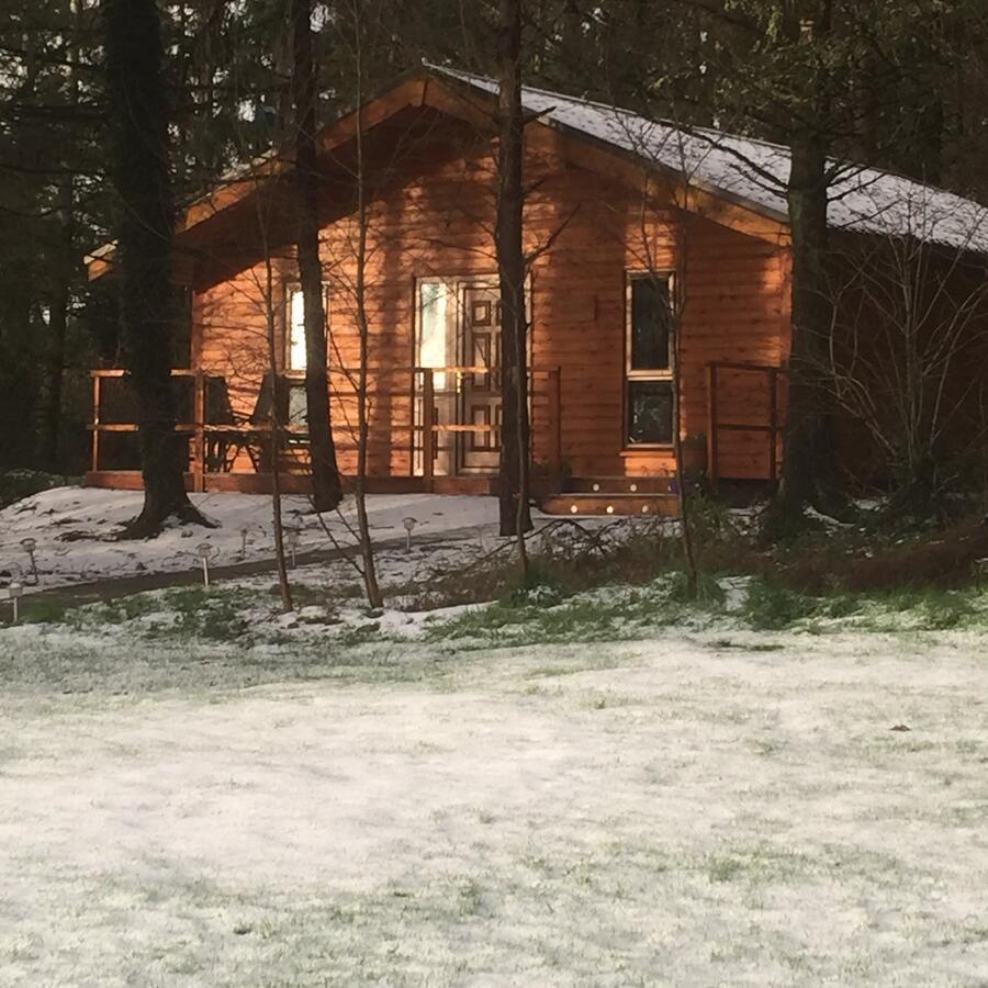 Butterfly Cabin Limerick Exterior photo